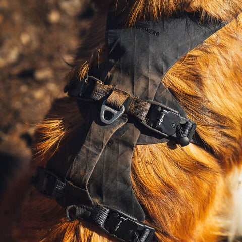 Ruffwear Ridgeline™ Harness