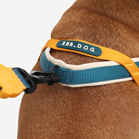 Zee.Dog SofterWalk Harness | No-Pull