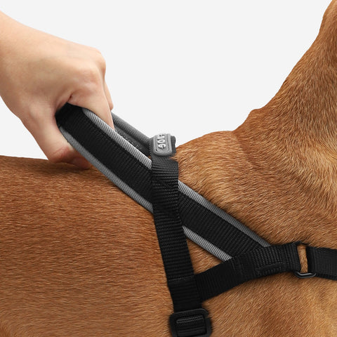Zee.Dog SofterWalk Harness | No-Pull