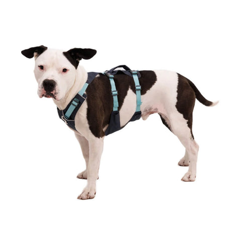 Ruffwear Flagline™ Harness