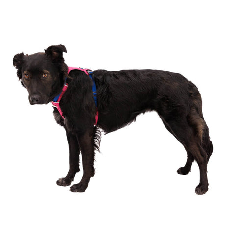 Ruffwear Hi & Light™ Harness