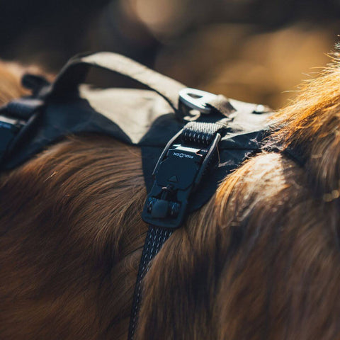 Ruffwear Ridgeline™ Harness
