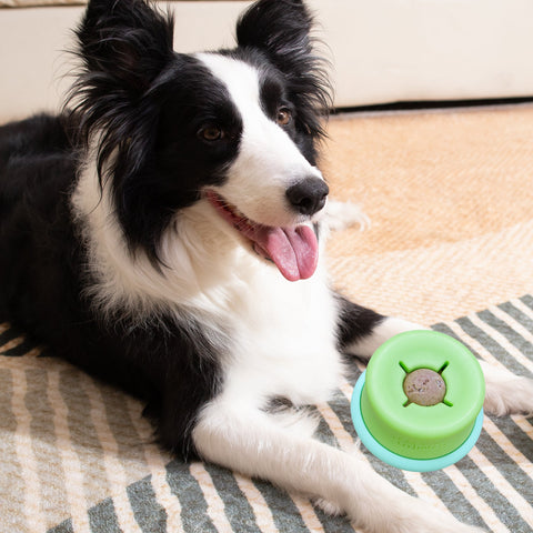 Puzzle Feeder™ Lickpop Interactive Dog Toy | Treat Dispensing