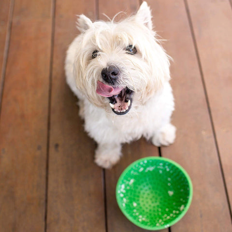 LickiMat ® Wobble