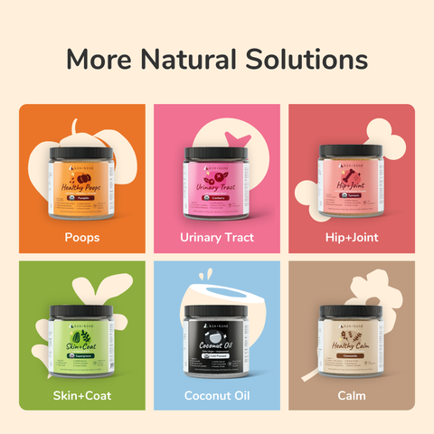 kin+kind Organic Supplement - Urinary Tract