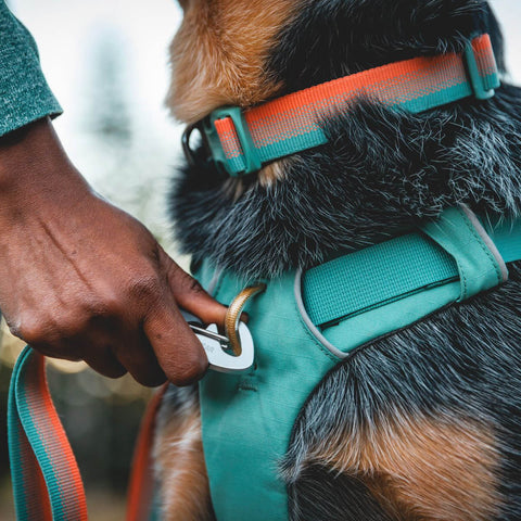 Ruffwear Front Range™ Collar