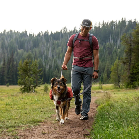 Ruffwear Switchbak™ Leash