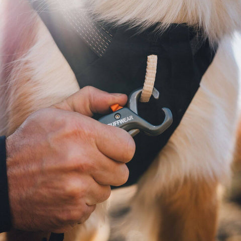 Ruffwear Ridgeline™ Harness
