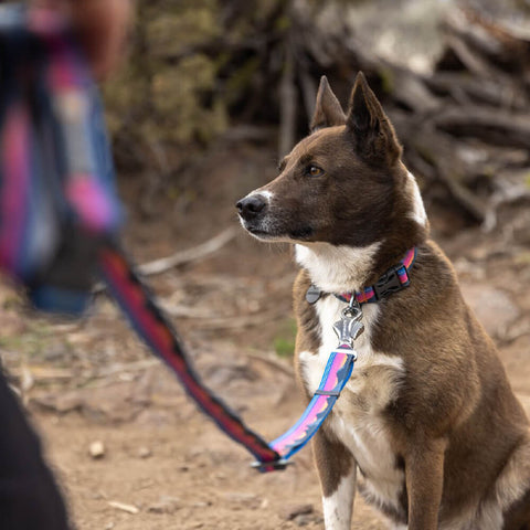 Ruffwear Crag™ Collar