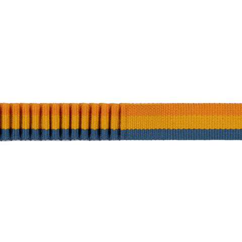 Ruffwear Roamer™ Bungee Leash