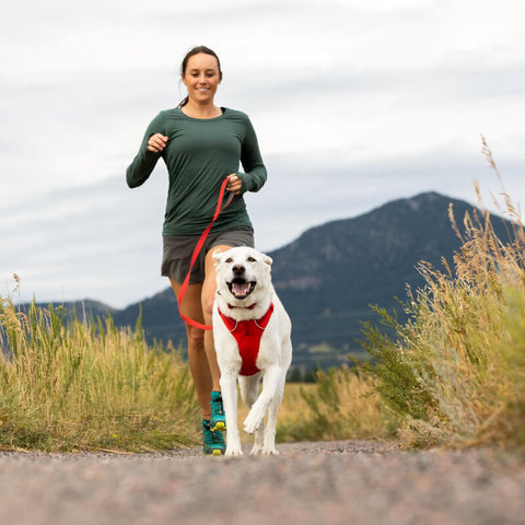Ruffwear Front Range® Harness