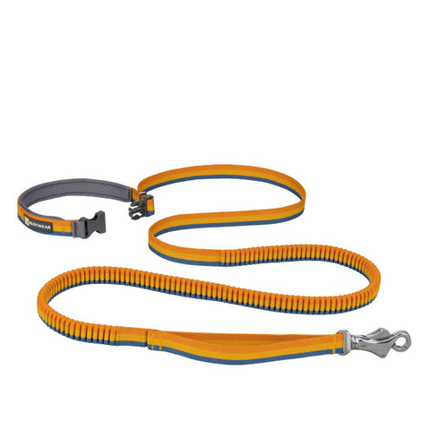 Ruffwear Roamer™ Bungee Leash