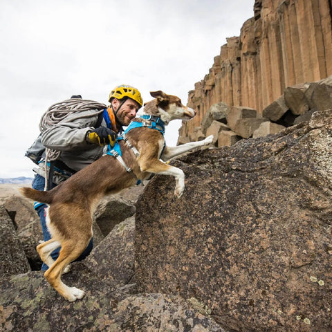 Ruffwear Flagline™ Harness