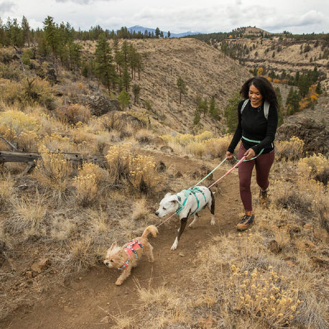 Ruffwear Flagline™ Harness