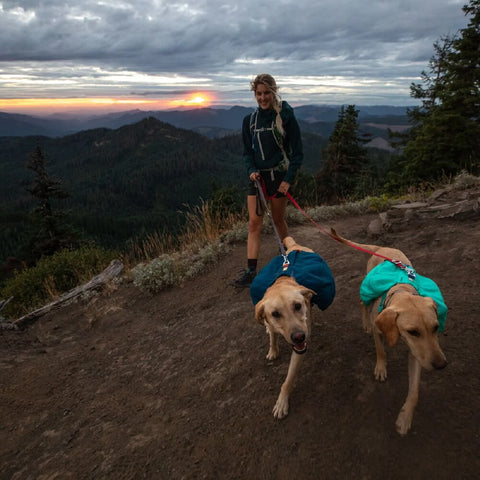 Ruffwear Switchbak™ Leash