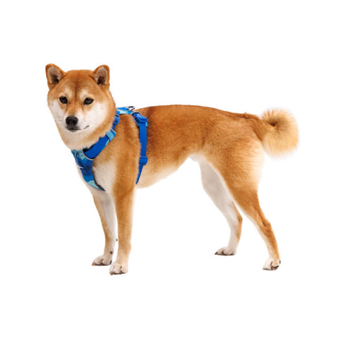 Ruffwear Front Range® Harness