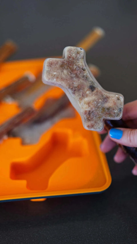 Messy Mutts Framed "Spill Resistant" Silicone Popsicle Treat Mold | Orange