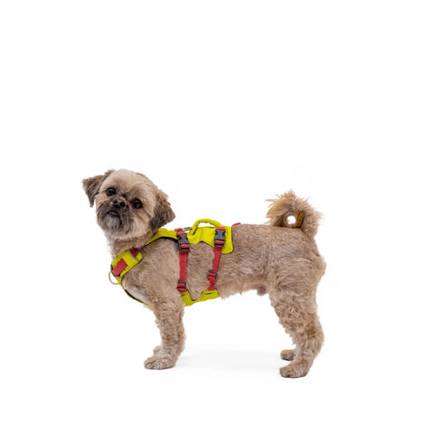Ruffwear Flagline™ Harness