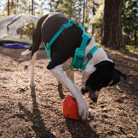Ruffwear Front Range™ Collar