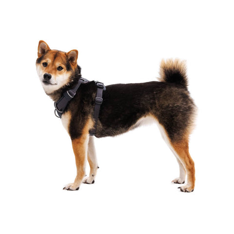 Ruffwear Front Range® Harness