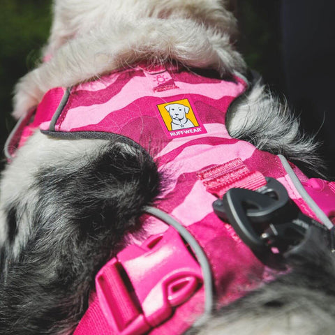 Ruffwear Front Range® Harness