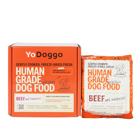 YoDoggo Gently Cooked, Freeze Dried Fresh | Beef & Mackerel