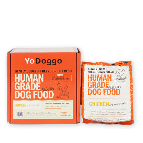 YoDoggo Gently Cooked, Freeze Dried Fresh | Chicken & Mackerel