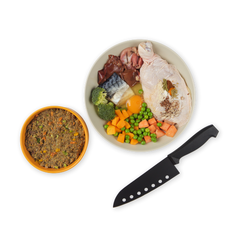 YoDoggo Gently Cooked, Freeze Dried Fresh | Chicken & Mackerel