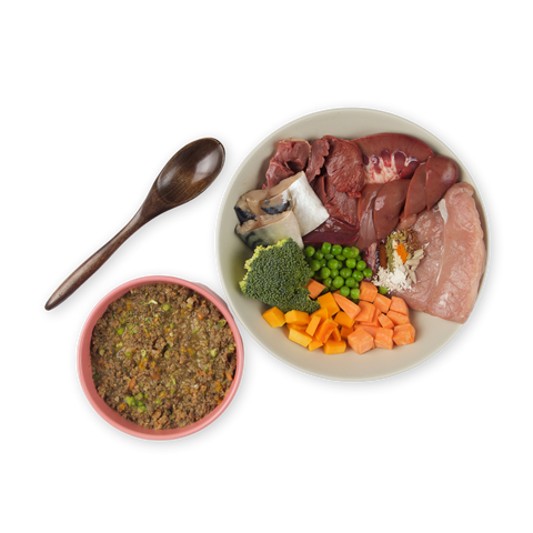 YoDoggo Gently Cooked, Freeze Dried Fresh | Pork & Mackerel